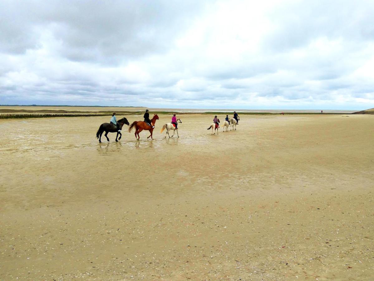 Maison Proche Des Immenses Plages De Berck Sur Mer A 1,8Km Des Plages Extérieur photo